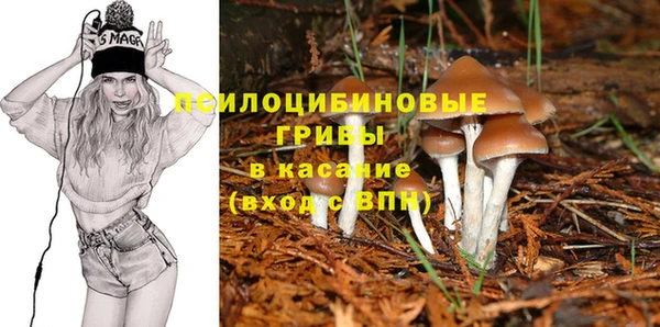 МДПВ Алексеевка