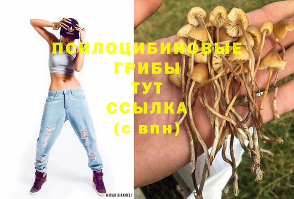 МДПВ Алексеевка