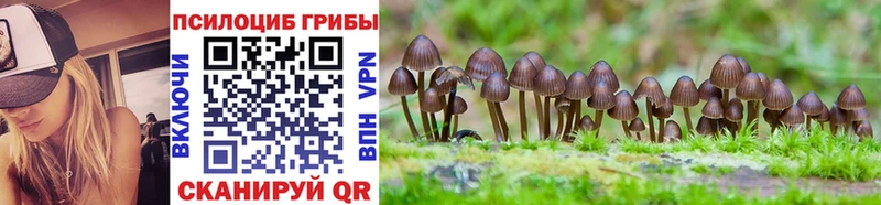 Псилоцибиновые грибы ЛСД  omg tor  Дудинка  цены  